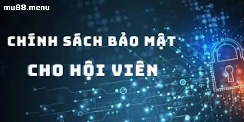 Bảo Vệ Thông Tin Cá Nhân An Toàn Cho Người Chơi